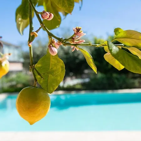 Bertrand House Piscina Privada Mediterranea Villa Castelldefels