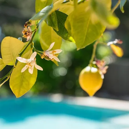 Bertrand House Piscina Privada Mediterranea Castelldefels
